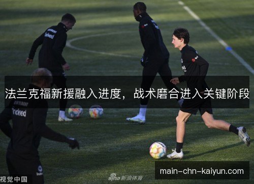 法兰克福新援融入进度，战术磨合进入关键阶段