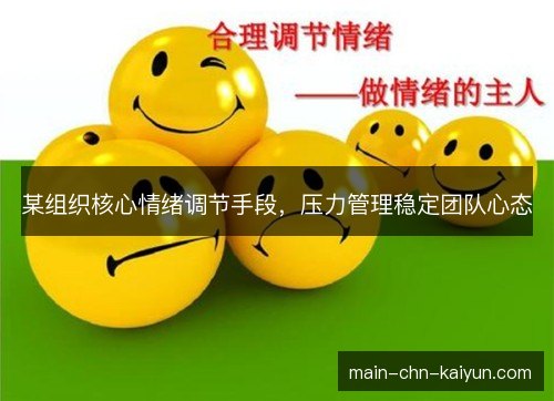 某组织核心情绪调节手段,压力管理稳定团队心态 某组织核心情绪调节手段,压力管理稳定团队心态